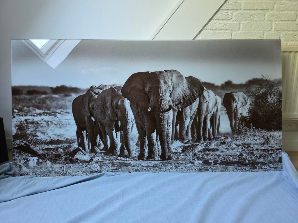 Glas schilderij olifanten, Ophalen, Zo goed als nieuw, Schilderij, 75 tot 100 cm
