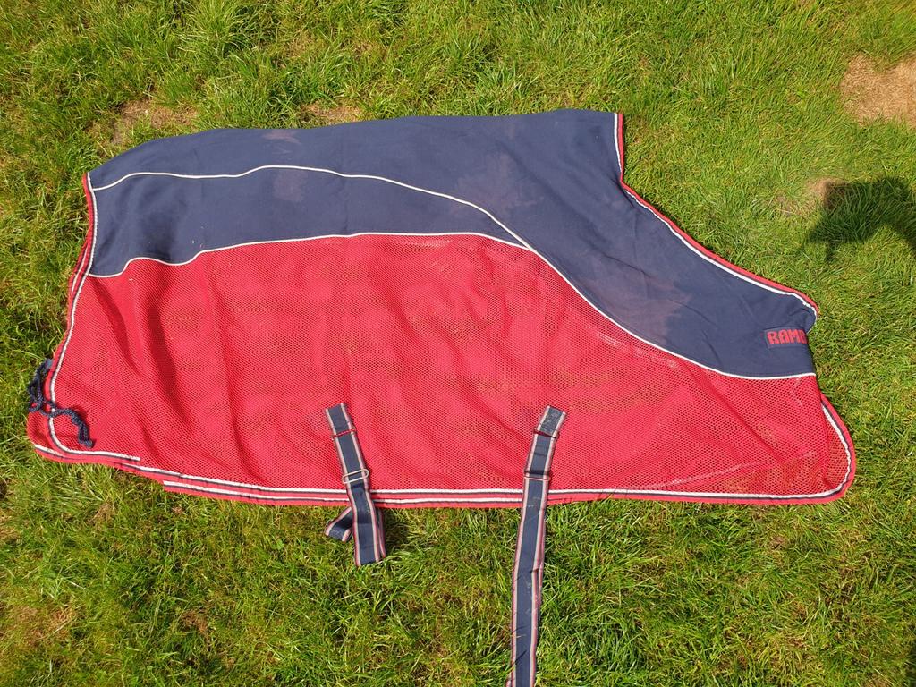 Rambo sport cooler 6.6, Ophalen of Verzenden