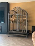 Grote Ara Papegaaien vogel kooi, Ophalen, Zo goed als nieuw, Metaal, Vogelkooi