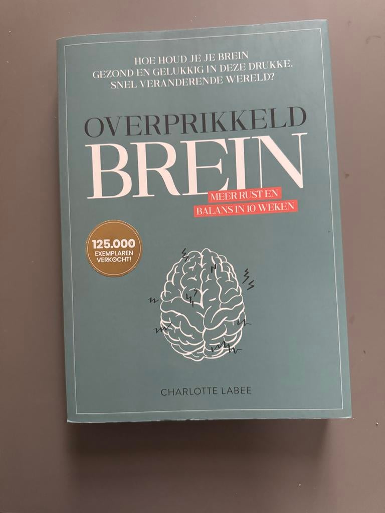 Overprikkeld Brein - Meer rust en balans in 10 weken, Ophalen of Verzenden, Nieuw