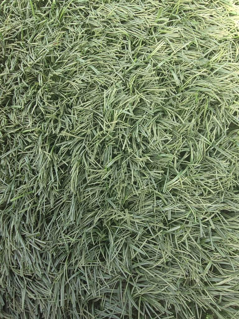 Restant Kunstgras hoogpolig 5 cm, 7 m lang bij 1 m breed, Tuin en Terras, Gras en Kunstgras, Ophalen, Nieuw