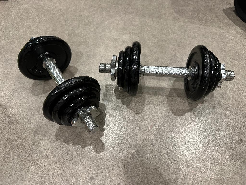 Verstelbare dumbells 2x 9 kg gietijzer, Sport en Fitness, Fitnessmaterialen, Ophalen, Zo goed als nieuw, Rug, Dumbbell
