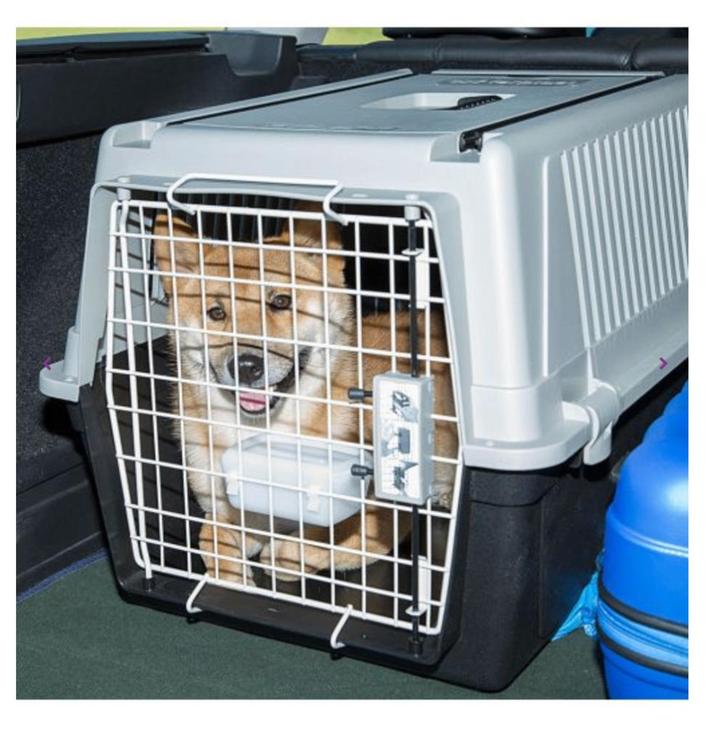 ZGAN Ferplast Transportbox voor hond en kat  68 X 49 X 45,5, Dieren en Toebehoren, Transportboxen, Zo goed als nieuw, Ophalen of Verzenden