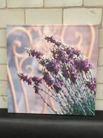 Mooie voorjaarslijst in huis overkapping of tuin, Ophalen