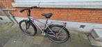 Children bike, Ophalen of Verzenden, Gebruikt, 20 inch of meer, Batavus