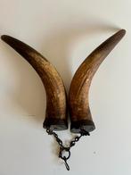 Antieke, vintage Ossenhoorns aan smeedijzeren Ketting, Ophalen of Verzenden