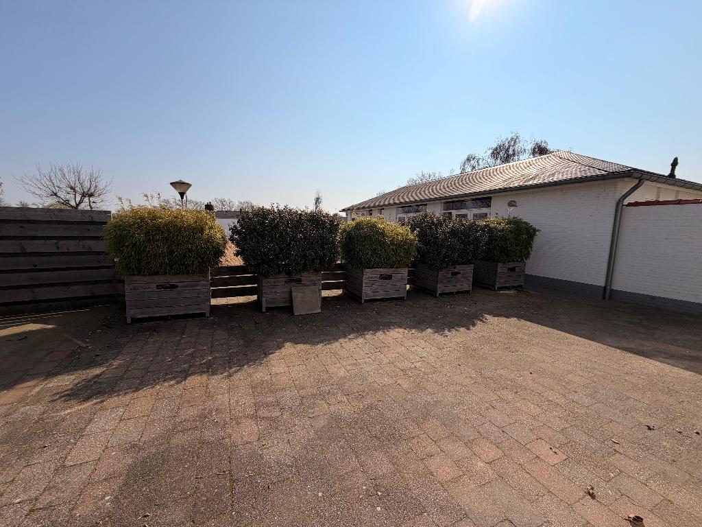 Fruitkist / Appelkist / Plantenkist met planten, Volle zon, Vaste plant, Bloeit niet, Ophalen