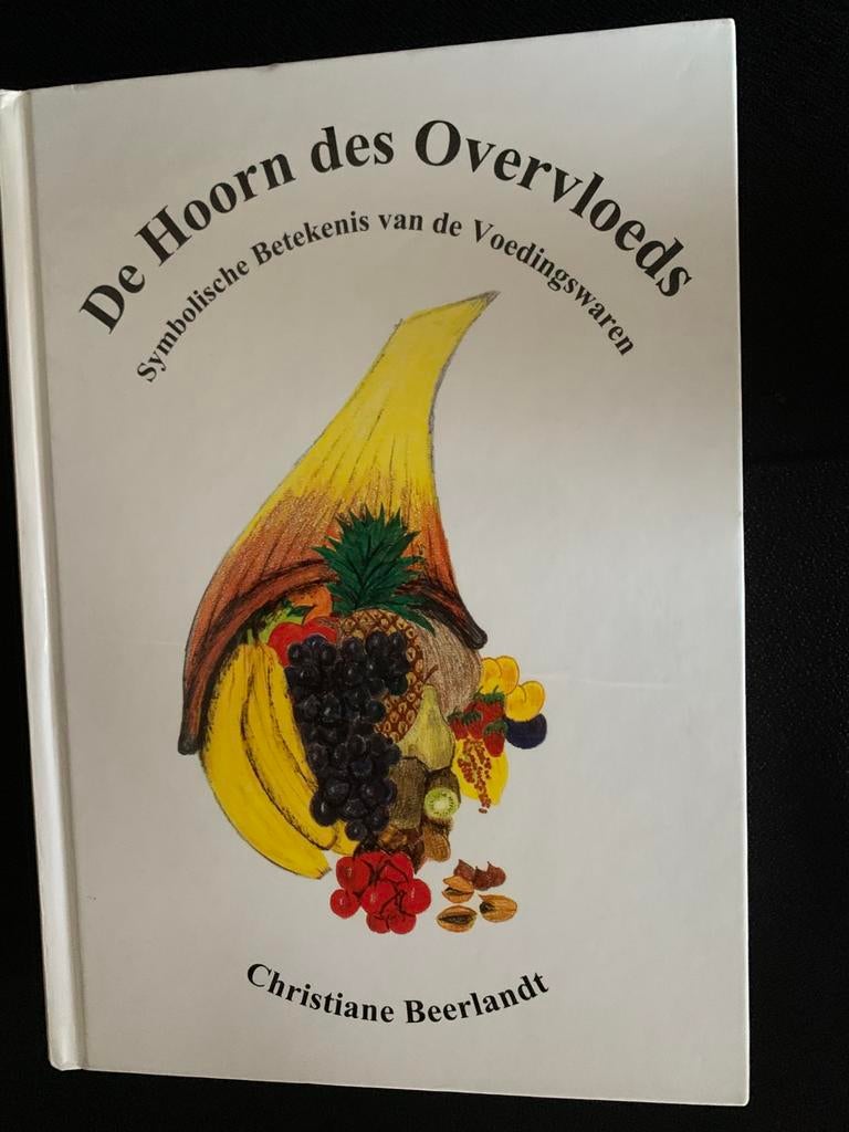 Christiane Beerlandt - De hoorn des overvloeds, Christiane Beerlandt, Sociale wetenschap, Ophalen of Verzenden, Zo goed als nieuw