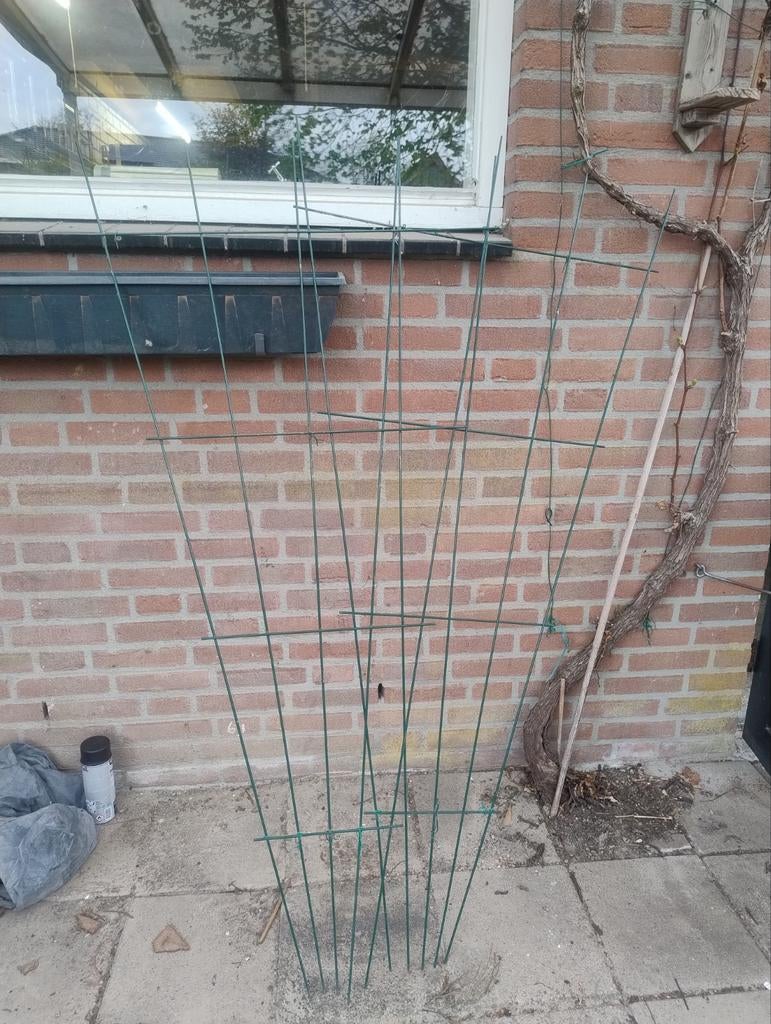 2 Gebruikte Groene Plantensteunen voor Klimplanten, Tuin en Terras, Ophalen, Gebruikt