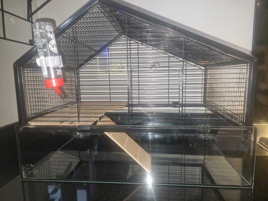 Hamsterkooi knaagdier kooi, Kooi, Minder dan 75 cm, Hamster, Ophalen