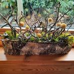 Bloemstuk, herbruikbaar met 4 buisjes, Ophalen of Verzenden, Rechthoekig