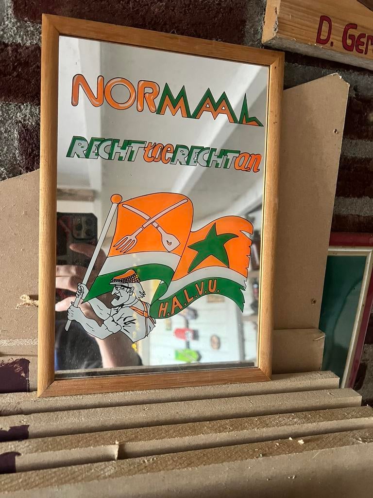 Spiegel normaal, Ophalen, Zo goed als nieuw, Minder dan 80 cm, Glasplaat