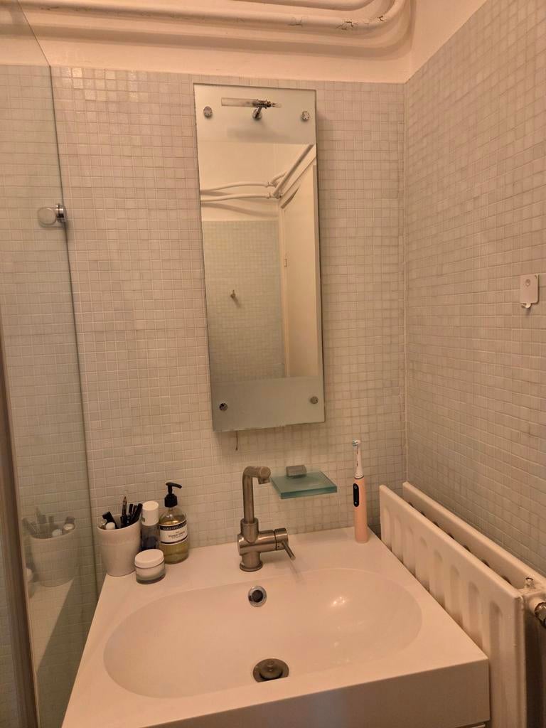 Gratis badkamerspiegel met verlichting, Ophalen