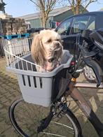 Nette honden fietsmand, Ophalen