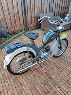 VESTING Sport 1956, Ophalen, Overige merken