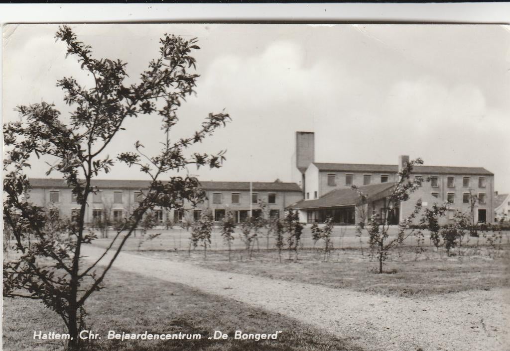 hattem- de bongerd, Ophalen of Verzenden, 1940 tot 1960, Gelderland