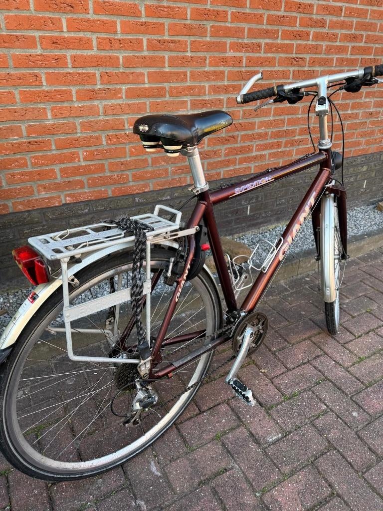 Herenfiets Giant, Fietsen en Brommers, Fietsen | Heren | Herenfietsen, Ophalen, Gebruikt, Giant, Versnellingen