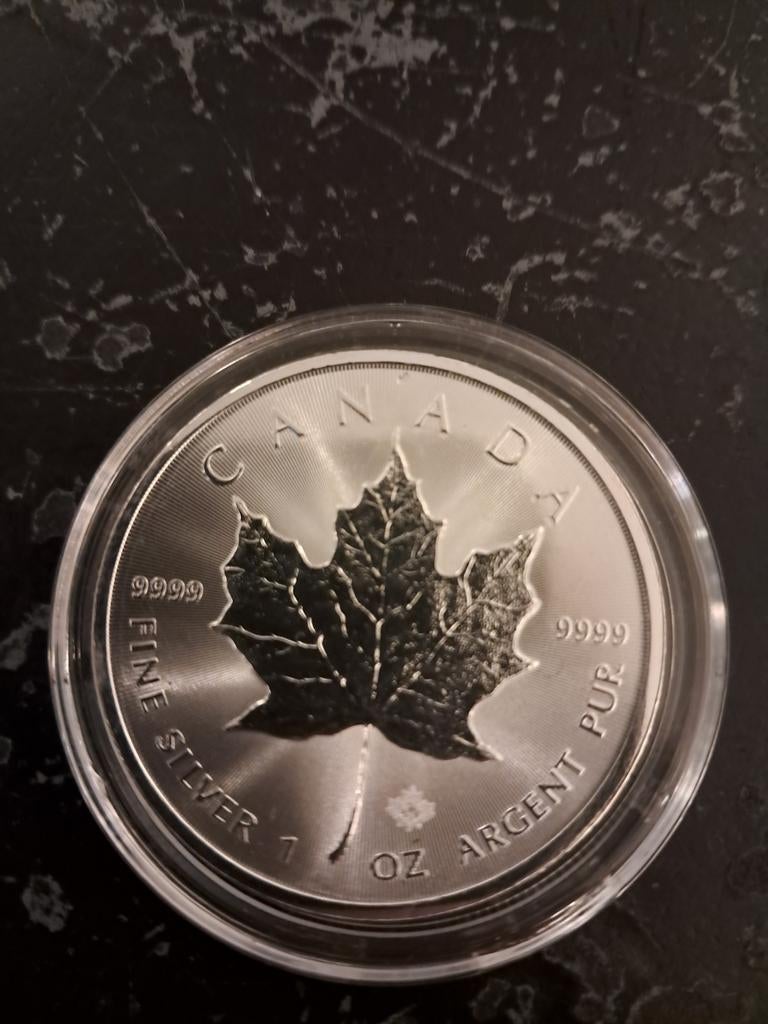 Maple Leaf 2021 1 oz zilveren munt meer in de beschrijving, Verzenden, Zilver