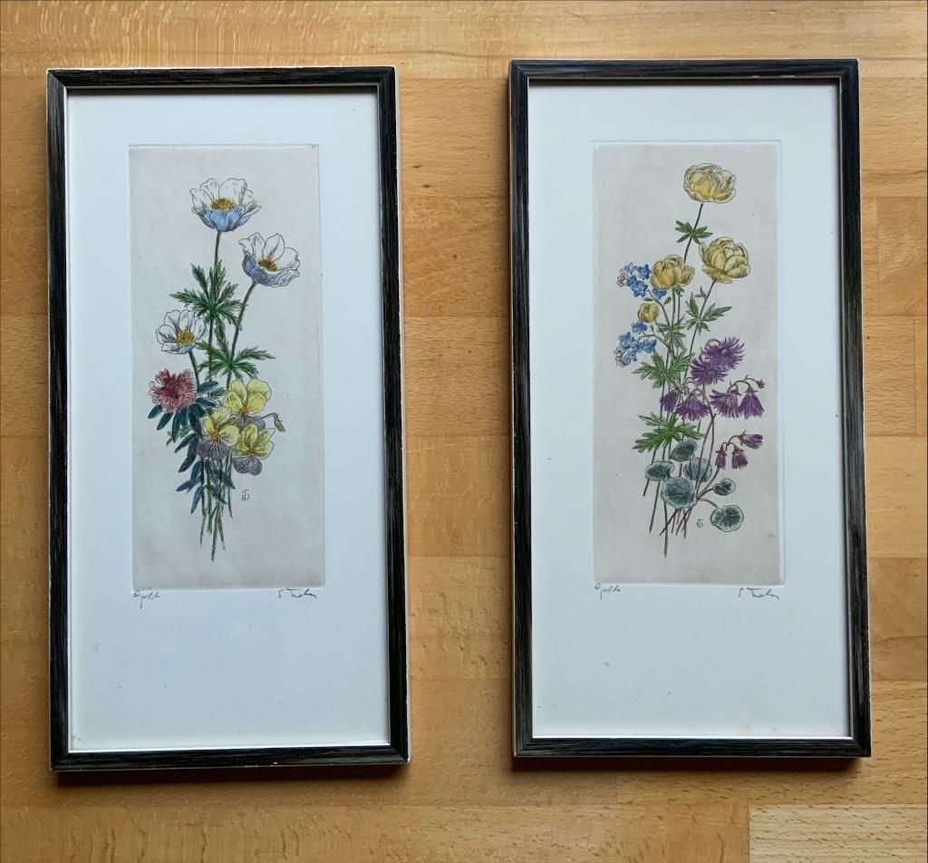 2 handgekleurde etsen van Ttjitske Elisabeth Tiele-Modderman, Antiek en Kunst, Ophalen of Verzenden