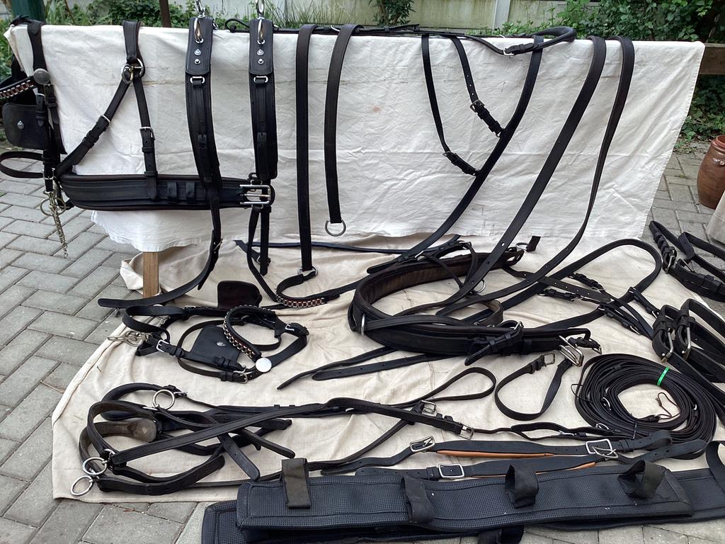 Tweespan mentuig vander wiel  Full, Ophalen of Verzenden, Gebruikt, Recreatie