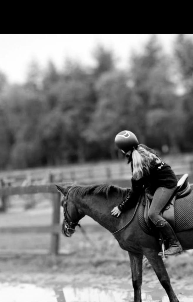 Verzorger aangeboden!!, Dieren en Toebehoren, Paarden en Pony's | Overige Paardenspullen, Zo goed als nieuw, Ophalen of Verzenden