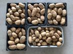 Aardappelen Nieuwe Oogst, Ophalen