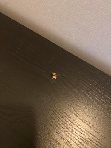 Malm bureau ikea zwart - afbeelding 2