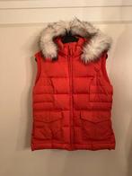 Dames boddy warmer, Oranje, Zo goed als nieuw, Ophalen, Maat 38/40 (M)