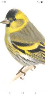 Wie heeft er nog sijzen tekoop