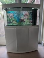 Aquarium Juwel Vision 180 met meubel, Dieren en Toebehoren, Zo goed als nieuw, Ophalen, Gevuld zoetwateraquarium