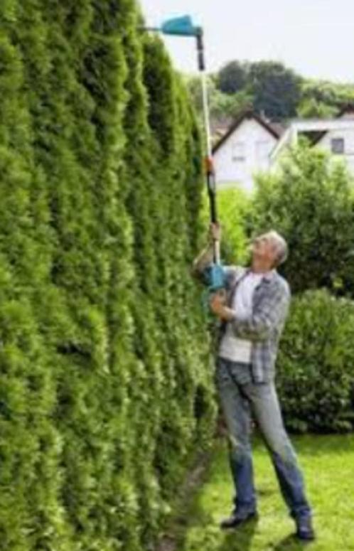 Accu telescoop steel-heggenschaar incl accu en lader  Handig, Tuin en Terras, Heggenscharen, Nieuw, Accu, Ophalen of Verzenden