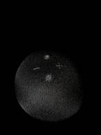 Luidspreker - Originele Echo speaker, Audio, Tv en Foto, Luidsprekers, Overige typen, Nieuw, 60 tot 120 watt, Ophalen