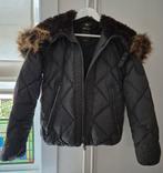 Replay bomberjas met fakefur capuchon bruin XS, Bruin, Replay, Ophalen of Verzenden, Zo goed als nieuw