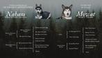 Siberische husky pups met FCI stamboom, Nederland, Reu, CDV (hondenziekte), 8 tot 15 weken
