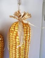 Leuke dummy's dummies voor in de keuken mais lengte 58 cm, Ophalen of Verzenden