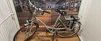 Batavus Torino Easy Nexus 7 speed, 51 tot 55 cm, Ophalen