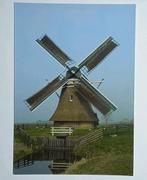Stiens - Leeuwarden ( Frl. ) De Steenhuistermolen, Verzamelen, Ansichtkaarten | Nederland, Verzenden, 1980 tot heden, Ongelopen