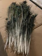 Pauwenveren - Decoratie, Huis en Inrichting, Woonaccessoires | Droogbloemen, Ophalen of Verzenden, Gebruikt