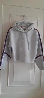 Tommy Hilfiger cropped hoodie melée grey xs, Verzenden, Zo goed als nieuw, Maat 34 (XS) of kleiner, Grijs