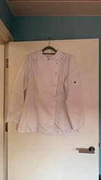 Dames Koksbuis M, Kleding | Dames, Overige Dameskleding, Ophalen of Verzenden, Zo goed als nieuw