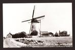 Dreischor (bij Sirjansland en Zonnemaire) - Molen De Koekoek, Verzenden, 1960 tot 1980, Ongelopen, Zeeland