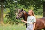 BIJRIJDER AANGEBODEN / BIJRIJDPONY GEZOCHT, Dieren en Toebehoren, Paarden en Pony's | Overige Paardenspullen, Ophalen of Verzenden