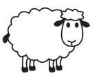 Schaapsscheerder gezocht bad nieuweschans, Vrouwelijk, Schaap