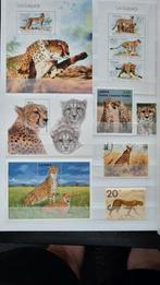 postzegel cheetah, Ophalen of Verzenden, Overige thema's