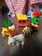 LEGO duplo ZOO Dierenverzorger  IJsbeer en Leeuwin. T.E.A.B., Ophalen of Verzenden