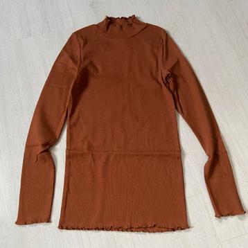 bruin Tshirt met lange mouwen mt 146-152 beschikbaar voor biedingen