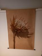 Foto print 83 x 110 cm gedroogde bloem - wanddecoratie, Nieuw, Ophalen of Verzenden