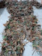 Ghillie, Ophalen of Verzenden, Landmacht