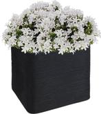 Pro Garden Plantenpot/bloempot Square 38x38x33cm, Tuin, Kunststof, Verzenden, Vierkant