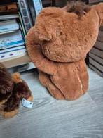 Shaggy + Cubby de beer - Furreal Friends, Ophalen of Verzenden, Zo goed als nieuw, Beer